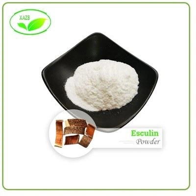 Horse Chestnut Extract Powder